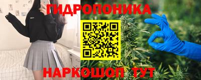 мдпв Новозыбков