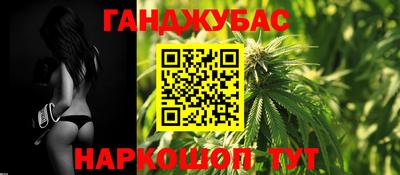 мдпв Новозыбков