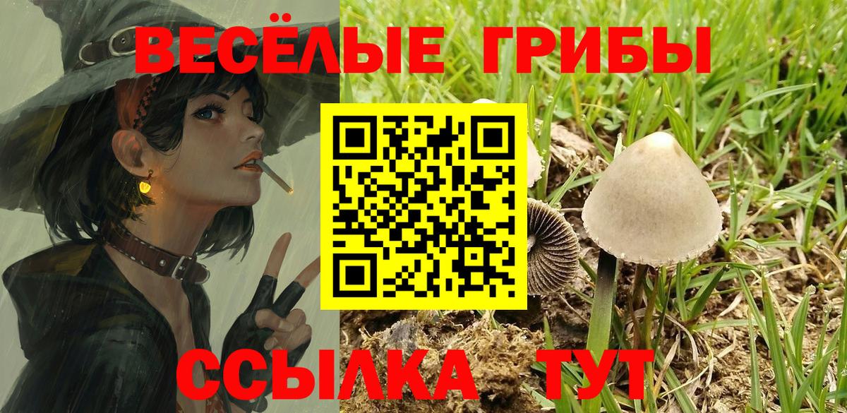 Псилоцибиновые грибы MAGIC MUSHROOMS  Вход с VPN  Алатырь 
