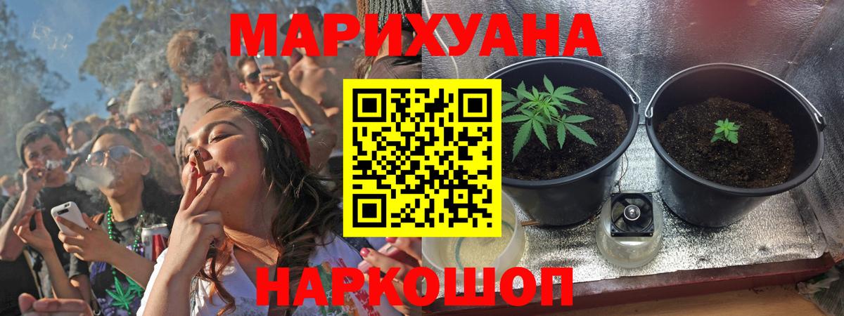 Конопля план  Вход с VPN  Алатырь  Бошки марихуана семена 